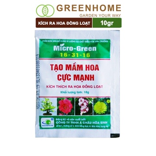 Phân kích ra hoa, Micro Green 16-31-16, gói 10gr, tạo mầm hoa cực mạnh