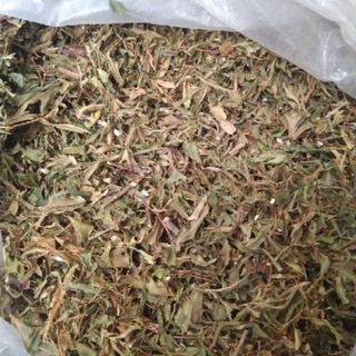 100gr lá đinh lăng khô_ đinh lăng nếp