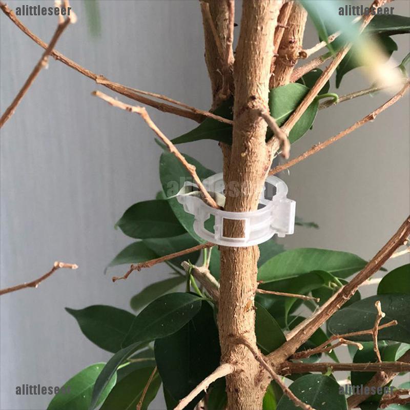 Set 50 Kẹp Hỗ Trợ Trồng Cây Cà Chua Tiện Dụng