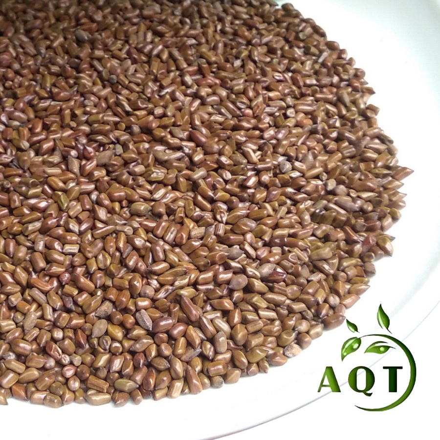 500g Hạt Muồng (Thảo Quyết Minh, Đậu Muồng) Chưa Sao Vàng Sạch, Thơm, Trà Hạt Muồng Hỗ Trợ Mất Ngủ, Hạ Huyết Áp