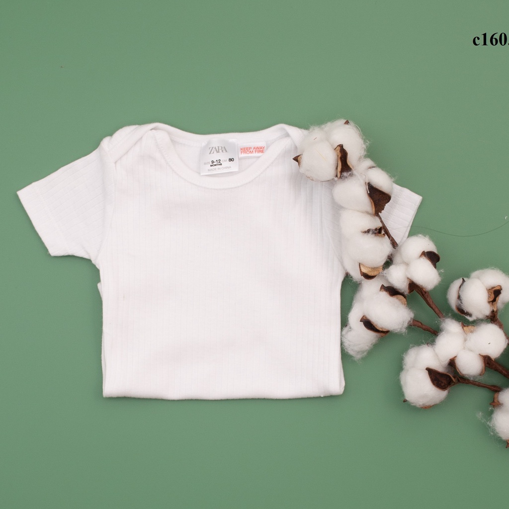 Body chip cộc tay cotton mềm mại phong cách nhẹ nhàng thời trang COLORISTA