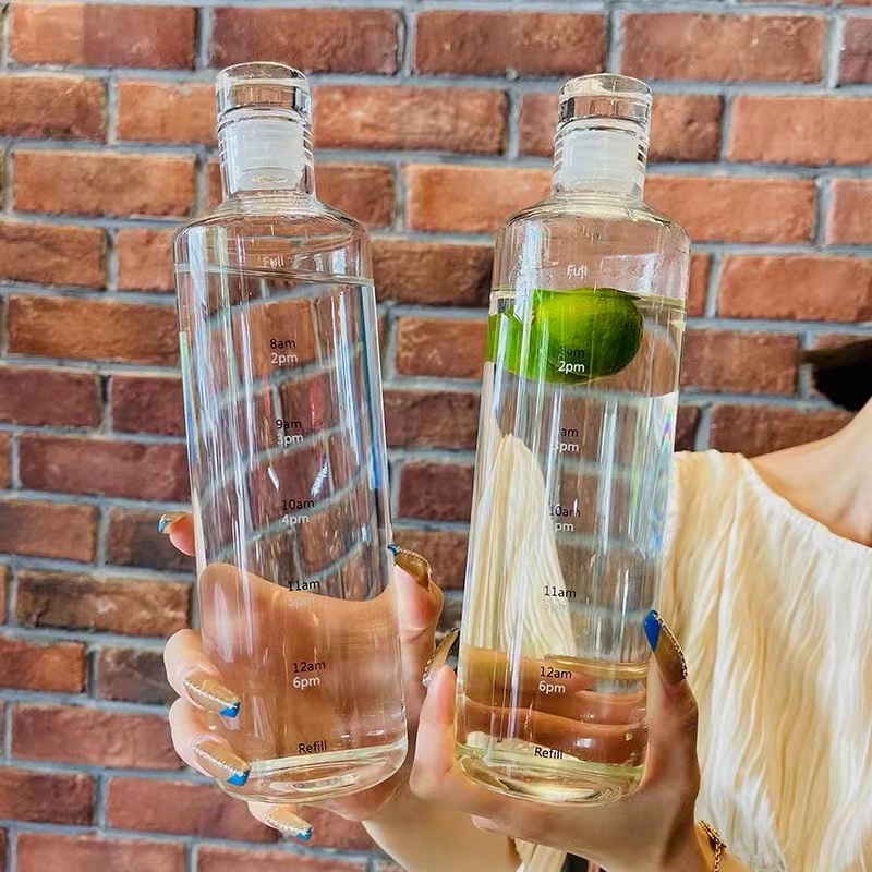 Bình uống nước trái cây 500/750ml bằng thủy tinh trong suốt dày có túi đựng