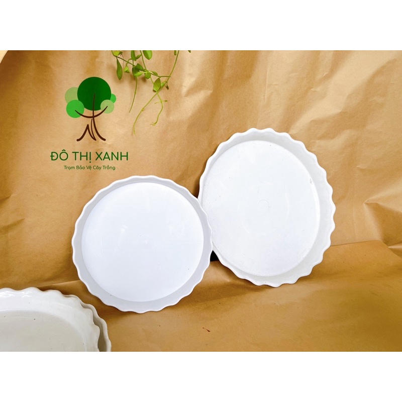 Dĩa nhựa lót chậu, dĩa lót chậu hình tròn nhiều kích thước