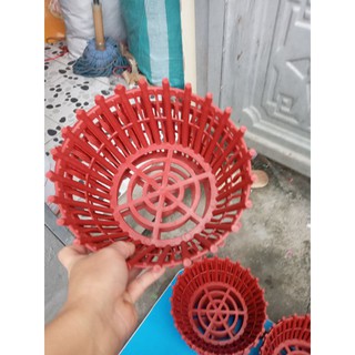 20 cái chậu trồng hoa lan có lan phụ phi 20cm x10cm giá tốt