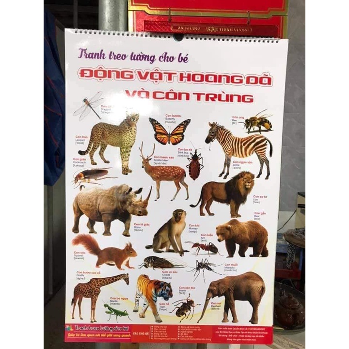 Tranh Chủ Đề Cho Bé, Tranh Học Cho Bé Treo Tường 14 chủ đề thiết kế song ngữ Tiếng Việt và Tiếng Anh