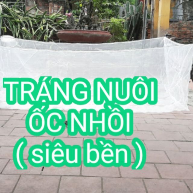 Vèo tráng lưới nuôi ốc nhồi, nha tự làm