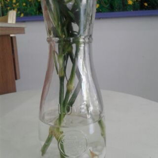 Bình cắm hoa thủy tinh