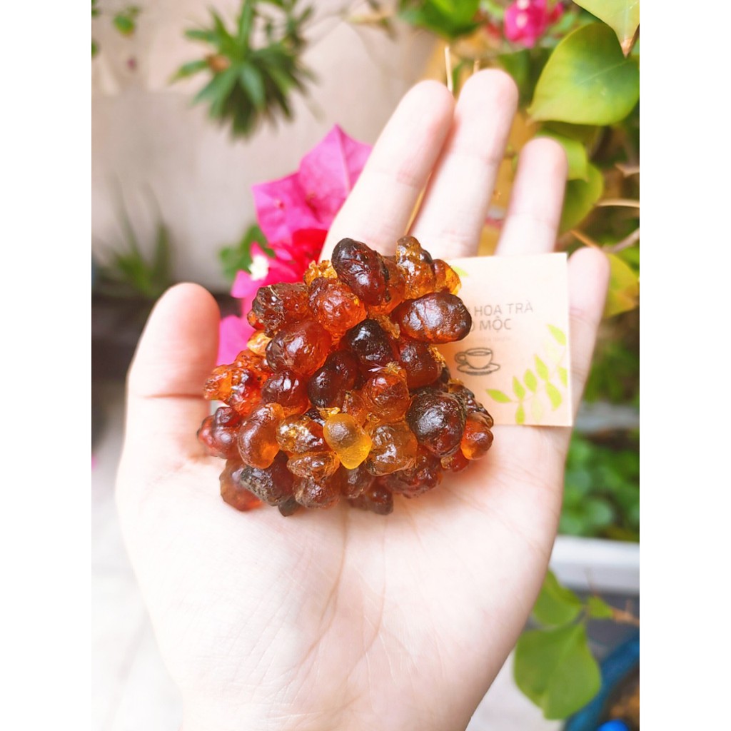 (ảnh thật + video ) Nhựa đào Vân Nam loại 1 giảm căng thẳng mệt mỏi 1kg