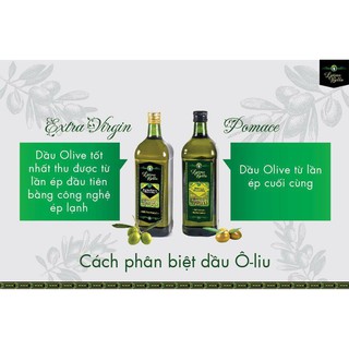 Dầu olive Latino Bella 1L