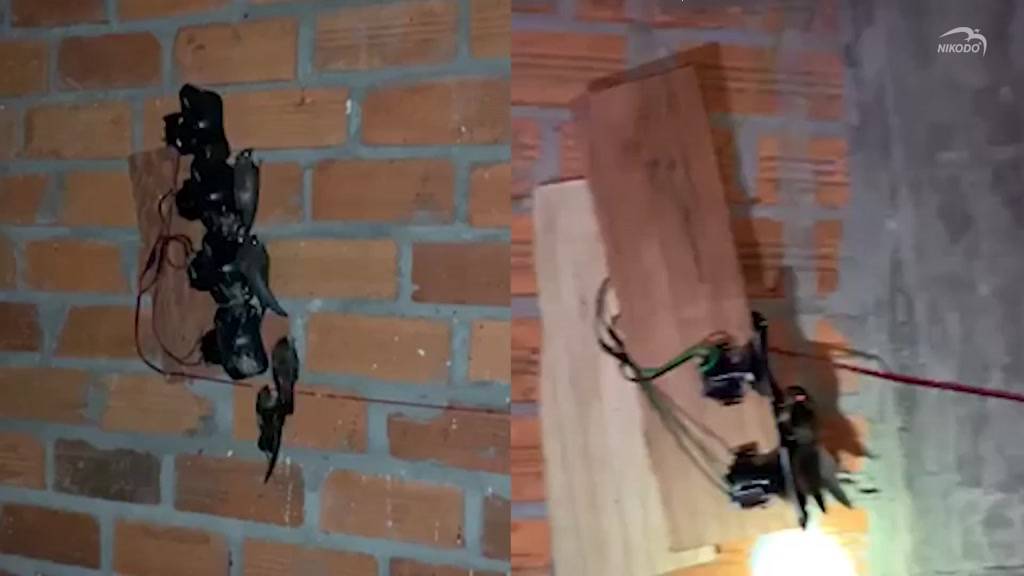 Loa ru cao cấp Super W có dây Nikodo chuyên dụng cho nhà nuôi yến, âm thanh trong, trung thực, chim yến đá loa, tạo tổ | BigBuy360 - bigbuy360.vn