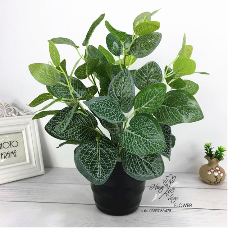 Cụm Cẩm Nhung Giả cao 25 cm - HÀNG ĐẸP LÁ ĐẸP