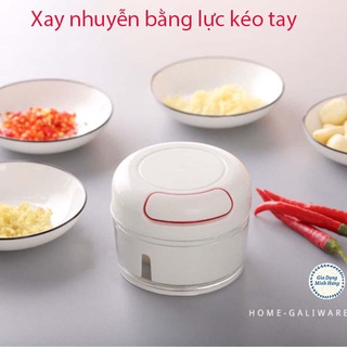 Cối xay tỏi ớt đa năng [XAY TỎI ỚT]