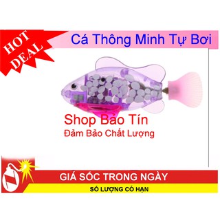 Bộ 1 Cá ROBot tự bơi Có đèn phát sáng tặng 2 viên pin