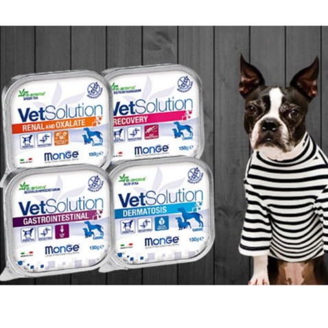Pate Monge VetSolution Dermatosis hỗ trợ chức năng cho chó 150g - Sỏi Thận | Viêm Da Dị Ứng | Suy Thận | Tiêu Hóa Yếu