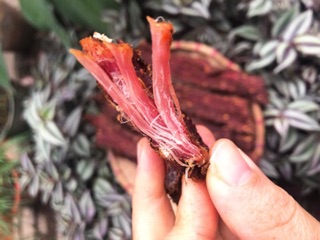 ĐẶC SẢN TÂY BẮC: THỊT LỢN GÁC BẾP 500G ( tặng kèm chẩm chéo)