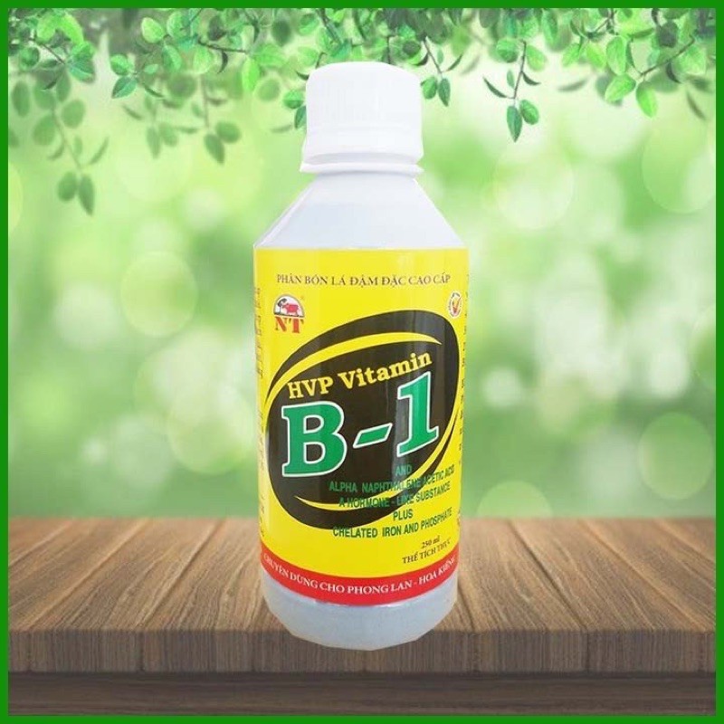 Phân bón lá Cao cấp, đậm đặc B1 HVP chai 250ml chuyên dùng cho phong lan, cây cảnh