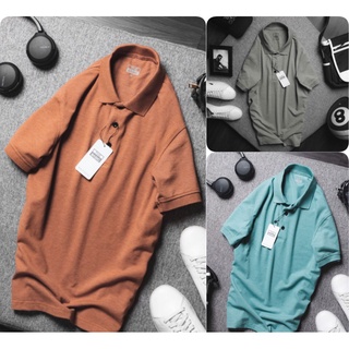 Áo Polo Cá Sấu 100% - The Basic Phong Cách Thời Trang Lịch Lãm
