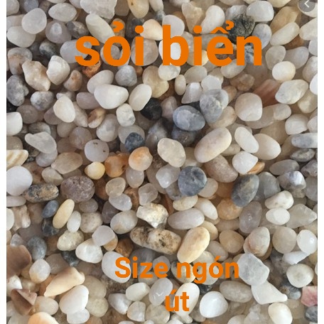 Nhiều màu - Nhiều size ] Đá sỏi trang trí sân vườn , hồ cá, HỒ THỦY SINH, BỂ CÁ