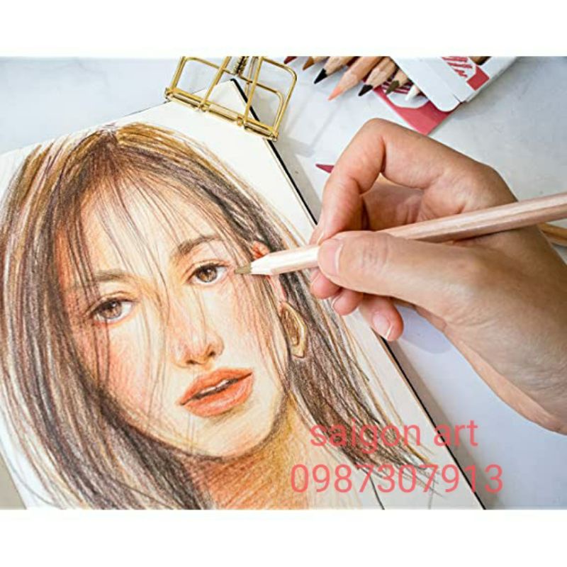 Chì Màu Vẽ Tranh Chuyên Nghiệp Bộ 12 Màu Mont Marte MPN0103