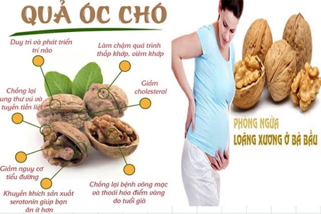 [Giá tốt] Quả Óc Chó Mỹ Nhập Khẩu (hàng vỏ mỏng, sấy khô, thơm ngon, hàng chuẩn loại ngon) 0,5kg