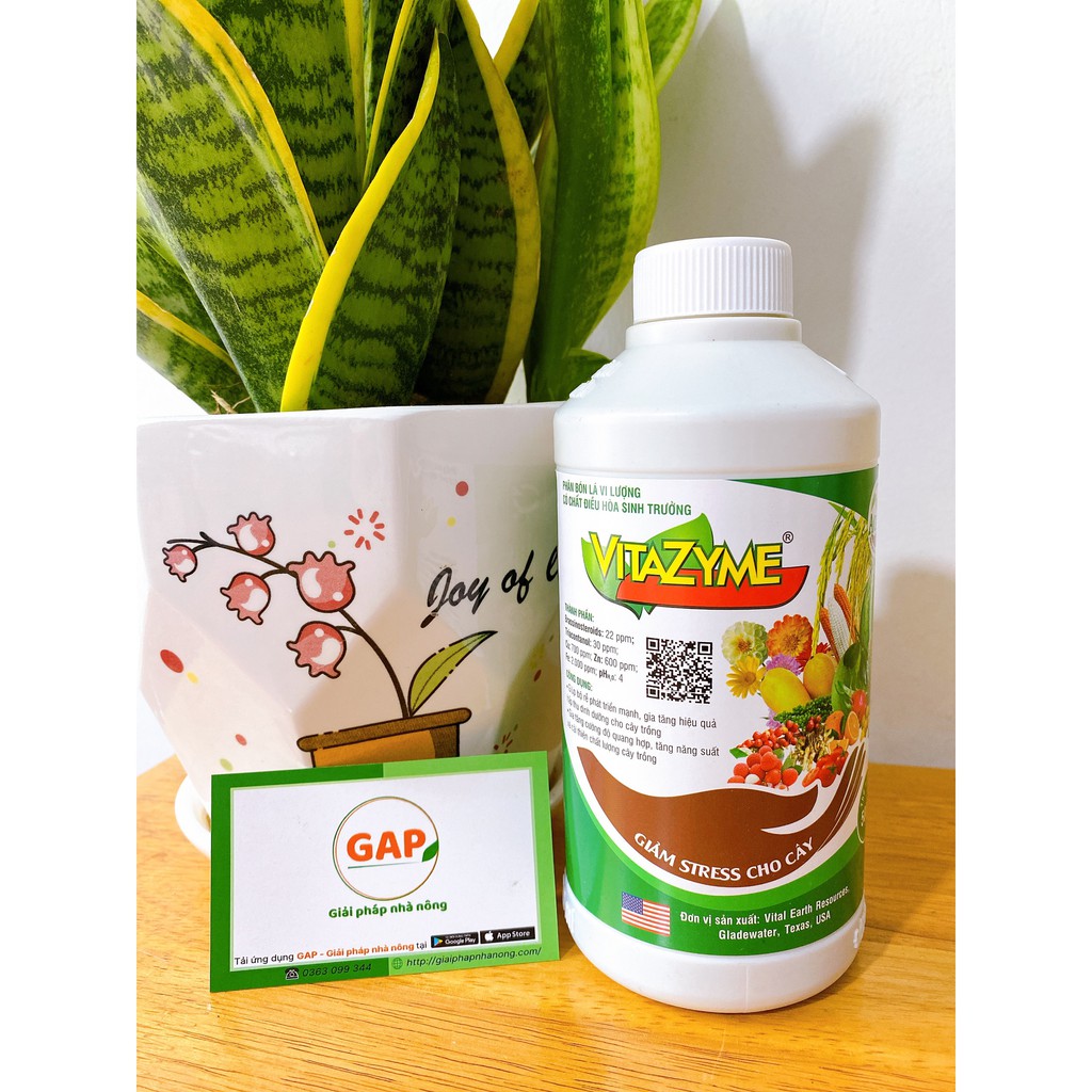 VITAZYME PHÂN BÓN LÁ CAO CẤP CHAI 500ML