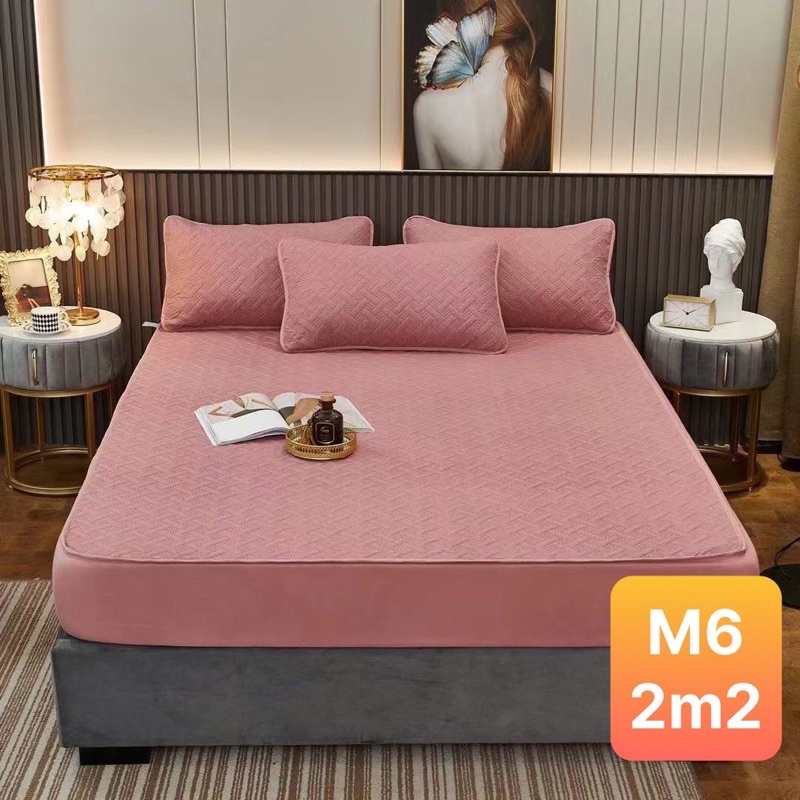 GA GỐI CHỐNG THẤM COTTONG TRẦN BÔNG đủ size