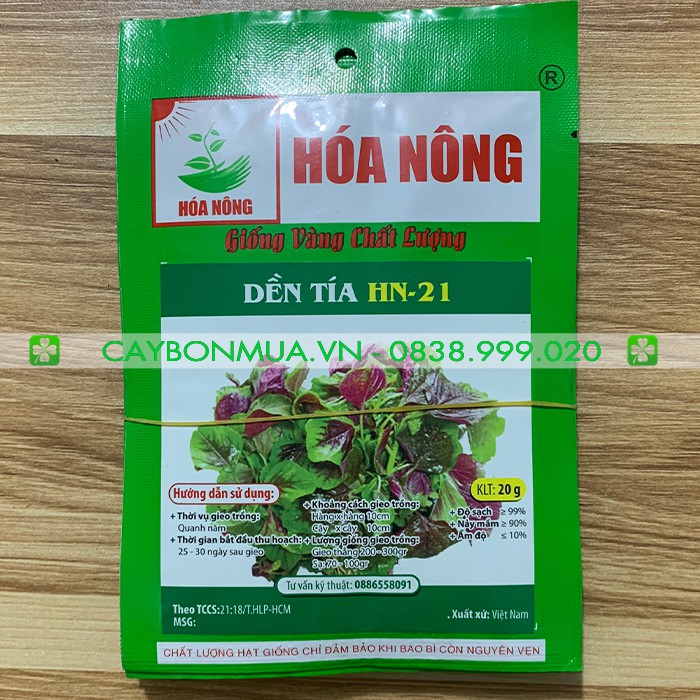 Giống dền tía HN-2-Gói 20gr