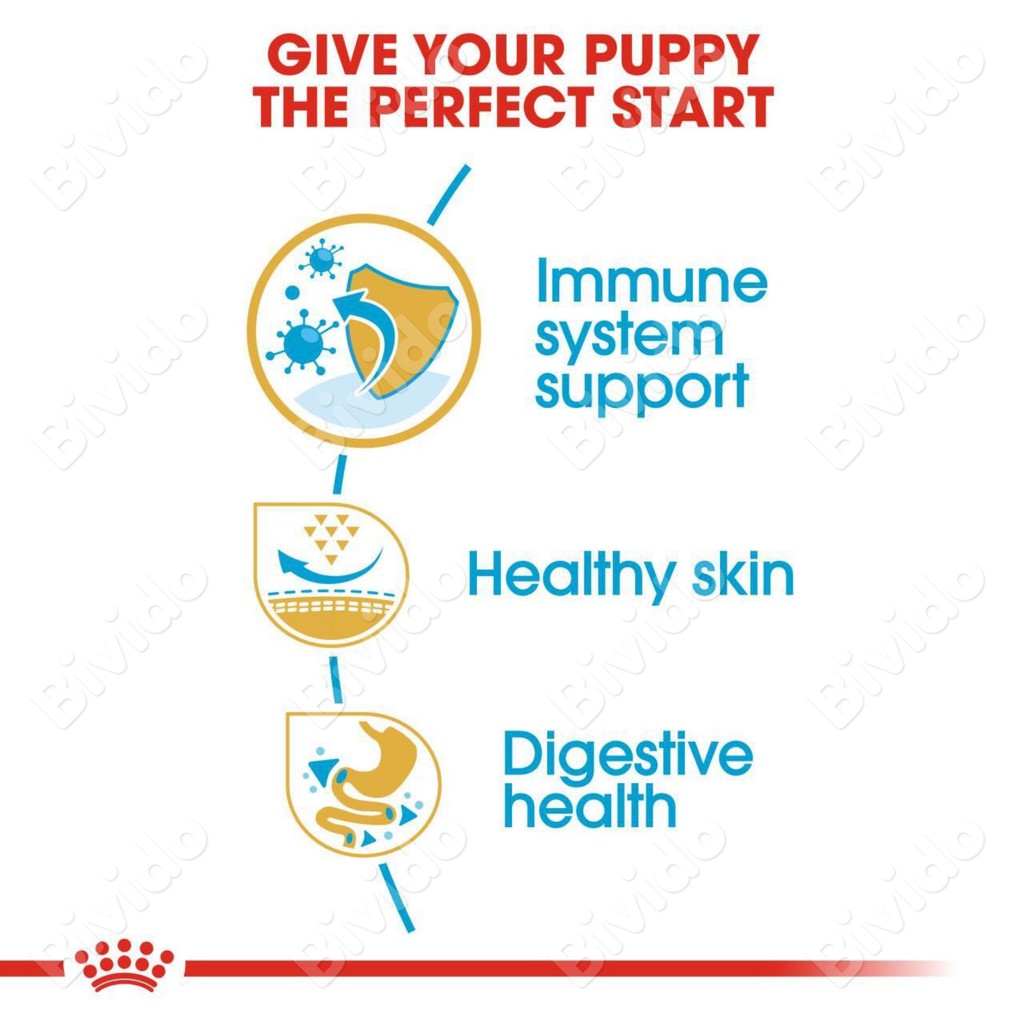 Thức ăn Royal Canin Pug Puppy chó con Pug dưới 10 tháng túi 1.5kg - Bivido