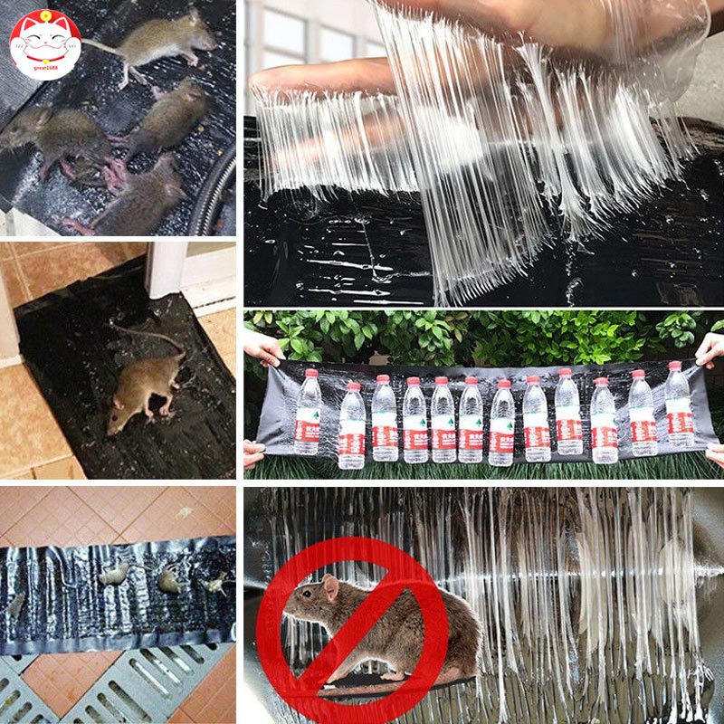 Keo dán chuột siêu dính kích thước 1.2m