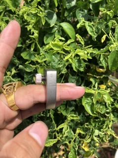 nhẫn bắn frameless