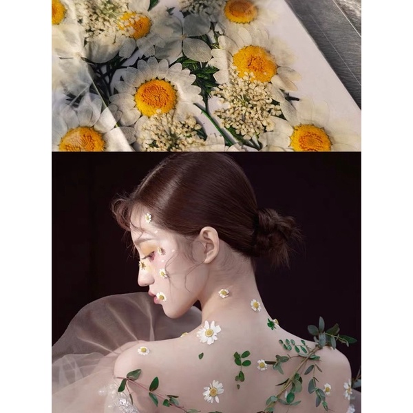 Bảng hoa dán mặt, phụ kiện makeup