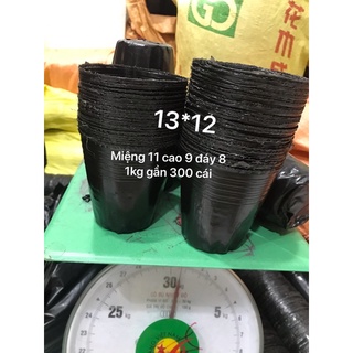 Bầu ươm cây 13*12