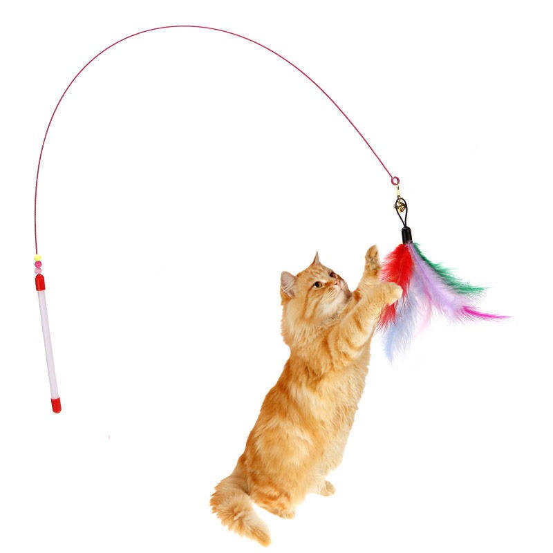 Cat Toy Funny Cat Stick Thép Silk Color Feather Belt Bell Tag Cat Đồ chơi Pet Cat Đào tạo mèo Rod Tương tác tạo tác