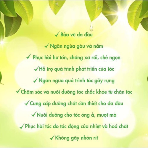 Xịt Bưởi Kích Thích Mọc Tóc , Làm Dài Tóc , Giảm Rụng Tóc , giảm Gàu Chai 100ml | BigBuy360 - bigbuy360.vn