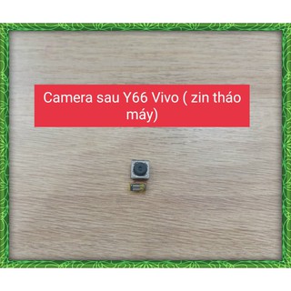 Camera sau Y66 Vivo ( Zin tháo máy)