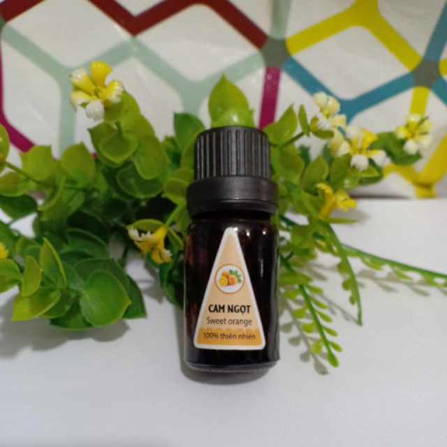 Tinh dầu cam xông đèn lọ 10ml