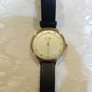 Đồng Hồ Nữ Skagen SKW2266