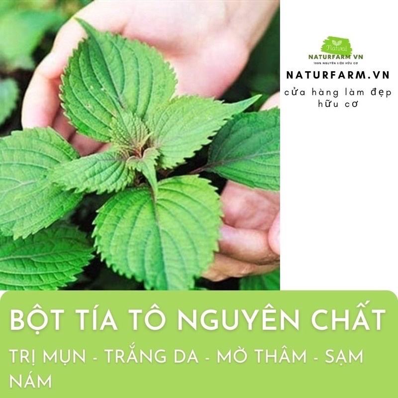 100gr Bột Lá Tía Tô sấy lạnh nguyên chất 100%