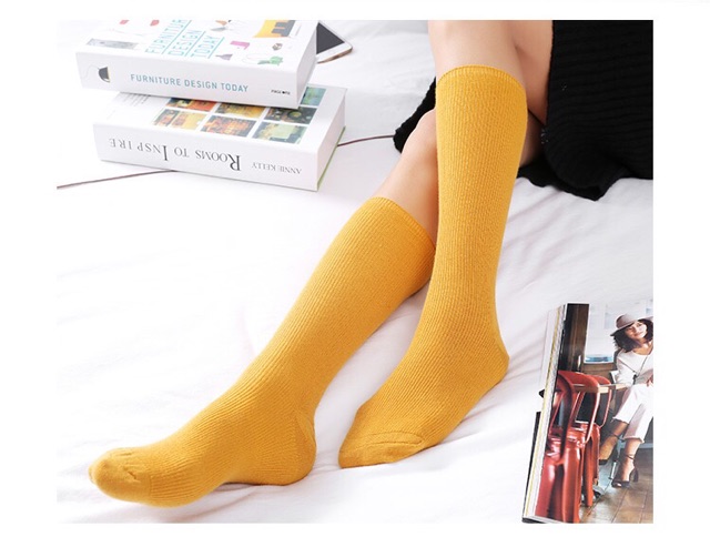 TẤT DÀI NHIỀU MÀU