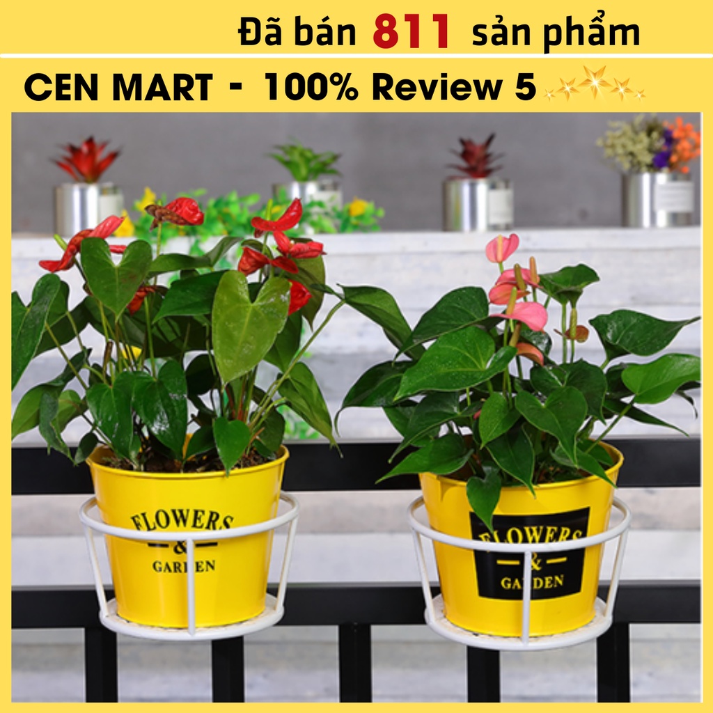 Chậu Sắt Treo Hoa ⚡️𝐅𝐑𝐄𝐄 𝐒𝐇𝐈𝐏⚡️ Giỏ Sắt Treo Ban Công , Lan Can Gọn - Nhẹ , Sơn Tĩnh Điện , Chống Han Gỉ - Bảo Vệ Hoa