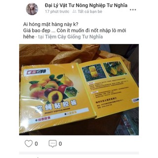 MIẾNG DÍNH BẪY RUỒI VÀNG /Littleseeds