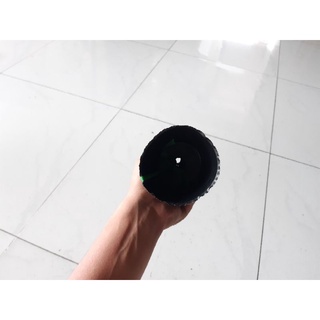 100 chậu c2 ươm cây con liên an