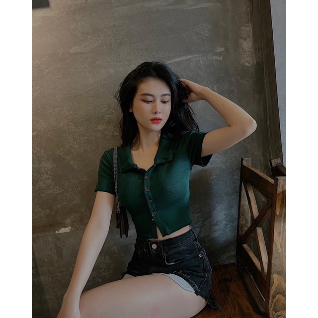 Áo sơ mi nhiều màu (ảnh/ clip shop chụp)