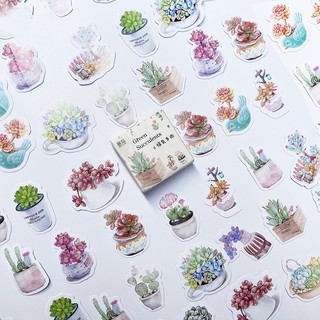 Sticker chủ đề Cây Xương Rồng Xanh - Hộp 45 miếng dán trang trí sổ tay Bullet Journal - M260