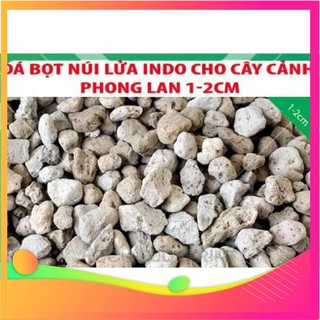 [Hàng chuẩn zin] Đá nhẹ pumice Indonesia 0.5 kg