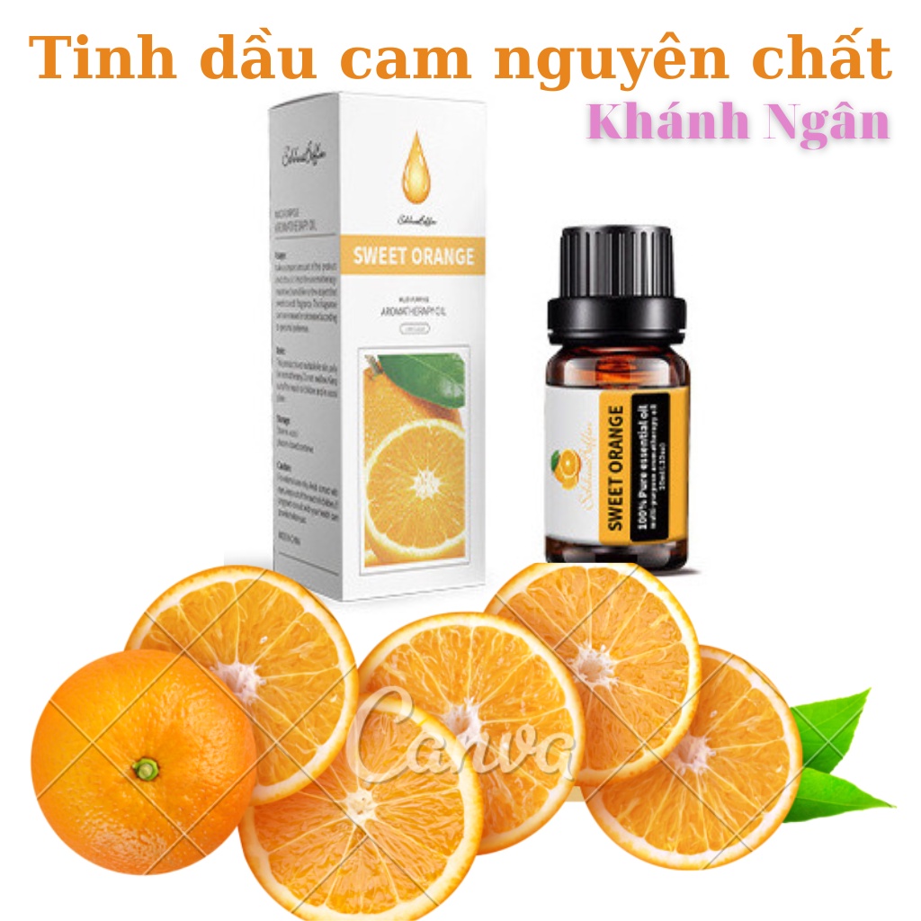 Máy Phun Sương Tinh Dầu TẤM THỊ Humidifier H2O 300ml Khuếch Tán Hơi Nước Tạo Ẩm Làm Thơm Mát Phòng Ngủ & Đuổi Muỗi