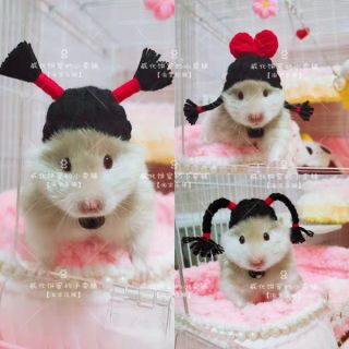 Nón len cho hamster, sóc, bọ, thỏ,mèo v.v...