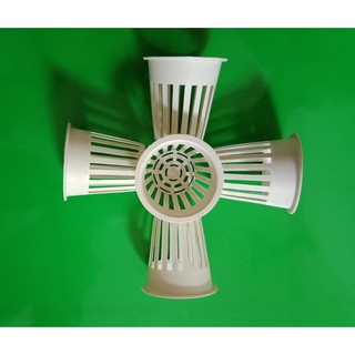 50 RỌ THUỶ CANH