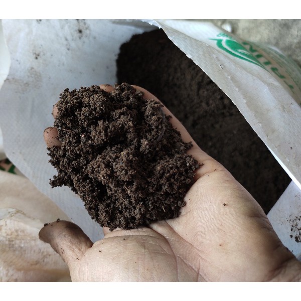 Đất trồng cây tổng hợp: đất sạch, xơ dừa