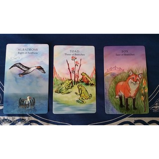 Bộ Bài Spirit Animal Tarot (Animal Wisdom Tarot) (Guu Tarot Shop)
